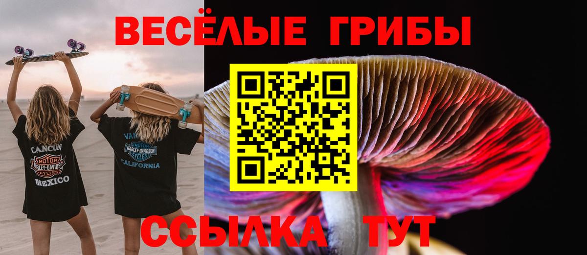 Владимир  Галлюциногенные грибы Psilocybe  Вход с VPN 