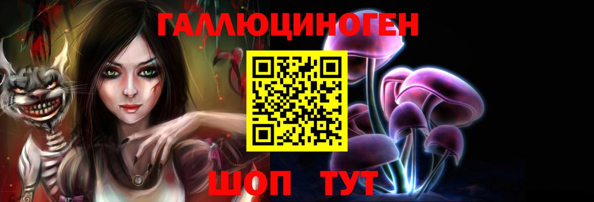 Галлюциногенные грибы мухоморы Владимир